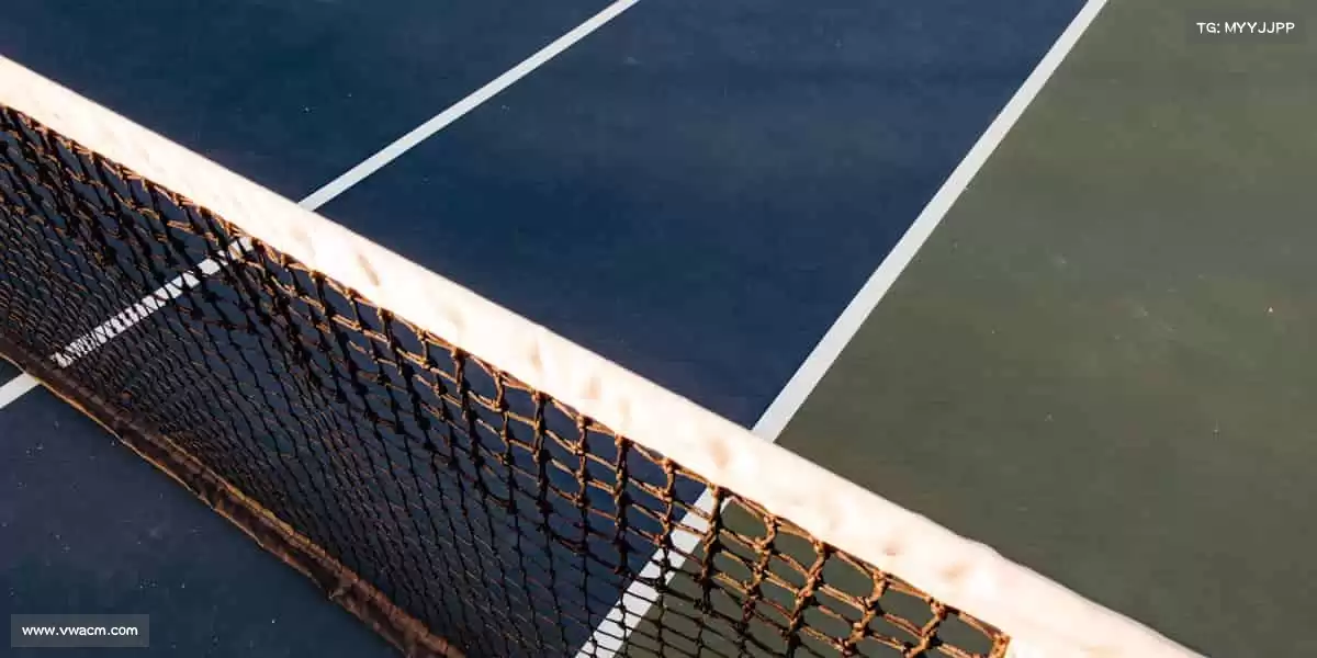 用代码编织梦想,让每个像素都充满生命力!💻✨